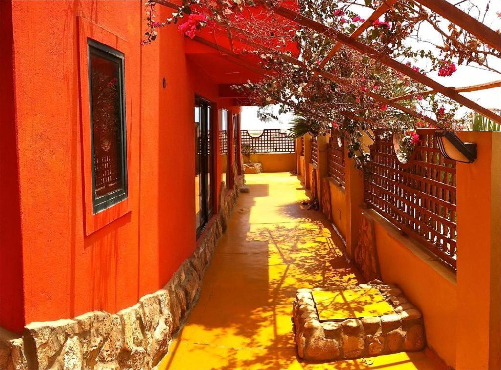 Surfactivity Guest House サンタ・マリア エクステリア 写真